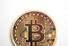 ‘Black Swan’ author calls bitcoin a ‘gimmick’ and a ‘game,’ says it resembles a Ponzi scheme